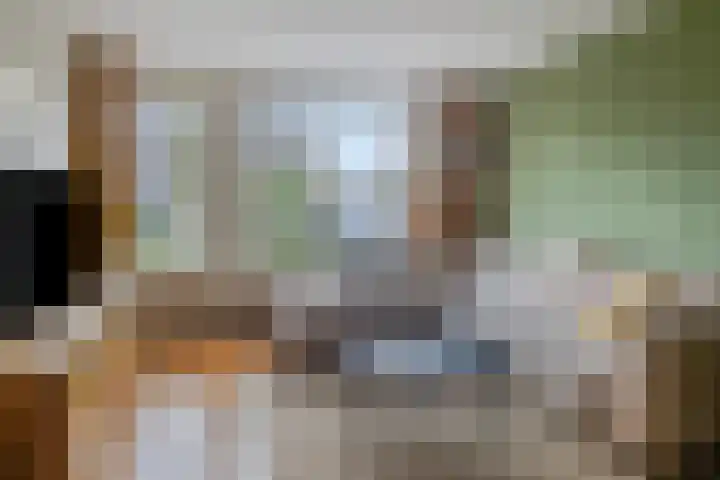 De Hoefslag 7 Dronten thumbnail 9