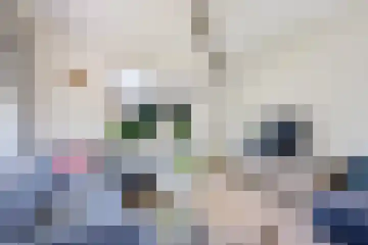 De Hoek 29 Erm thumbnail 12