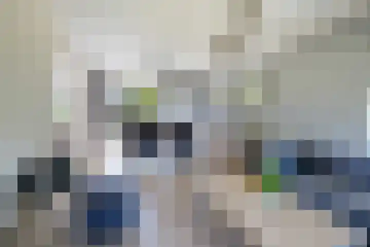De Hoek 29 Erm thumbnail 14