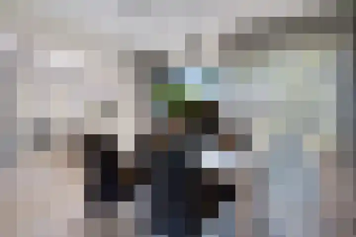 De Hoek 29 Erm thumbnail 15