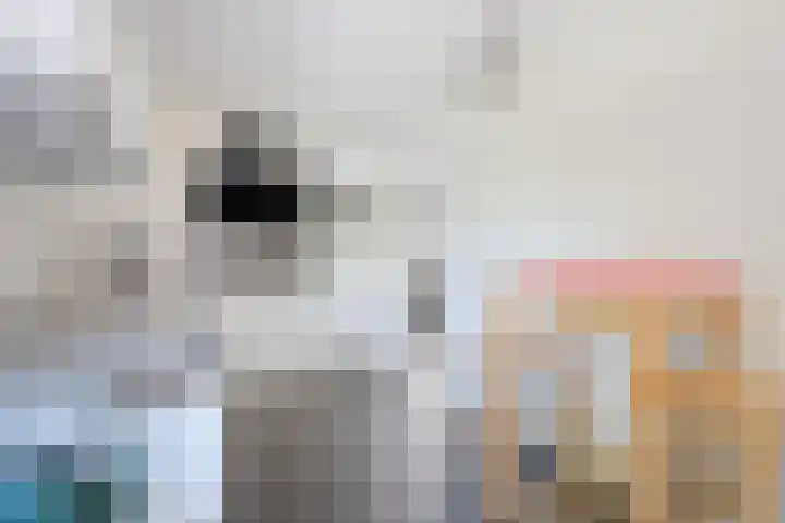 De Hoek 29 Erm thumbnail 20