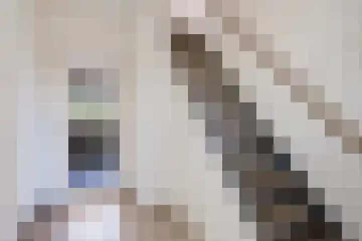 De Hoek 29 Erm thumbnail 26