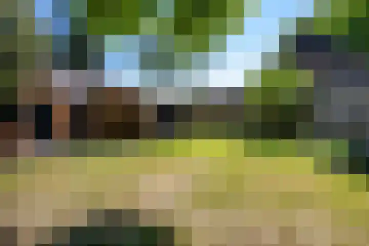 De Hoek 29 Erm thumbnail 39
