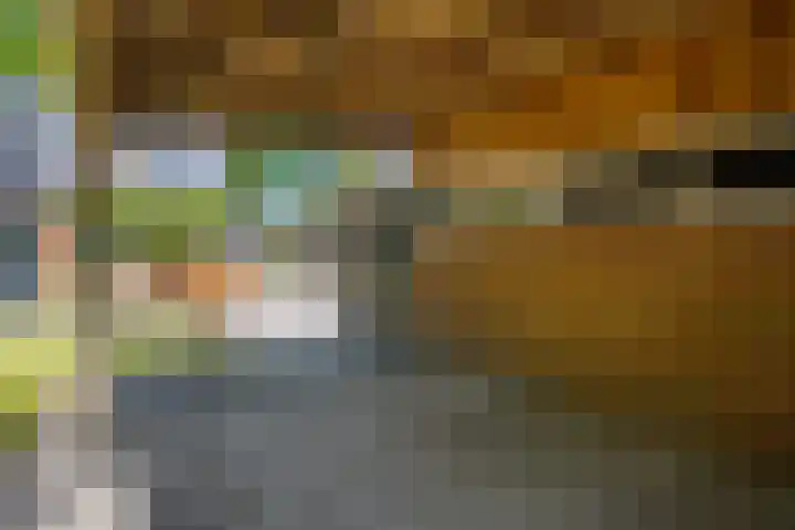 De Hoek 29 Erm thumbnail 40