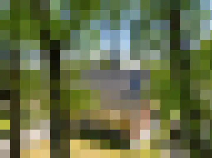 De Hoek 29 Erm thumbnail 43