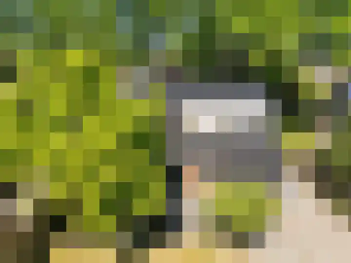 De Hoek 29 Erm thumbnail 44