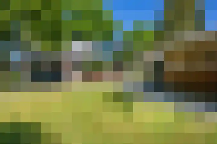 De Hoek 29 Erm thumbnail 45