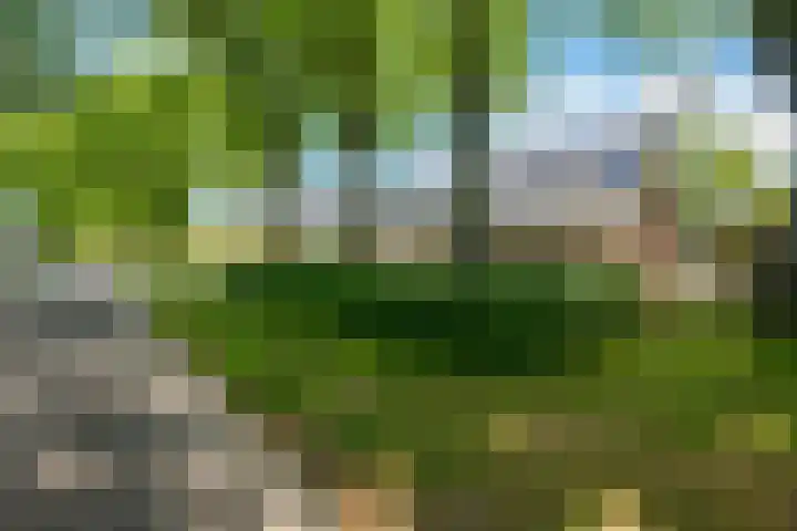De Hoek 29 Erm thumbnail 9