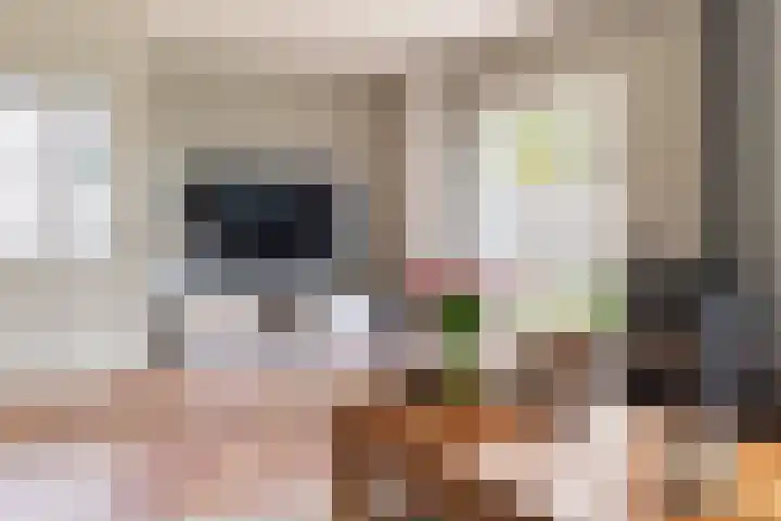 De Hoek 5 Erm thumbnail 20