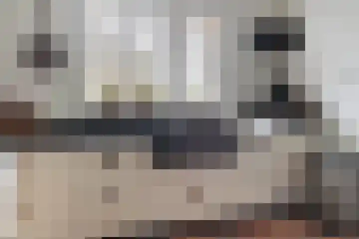 De Hoek 5 Erm thumbnail 26