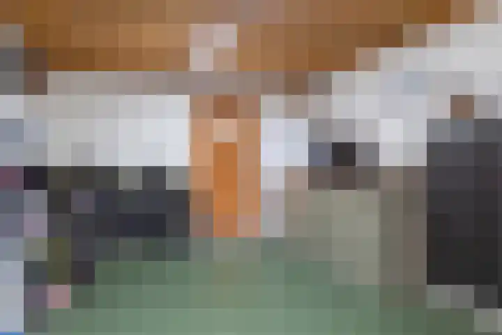 De Hoek 5 Erm thumbnail 29