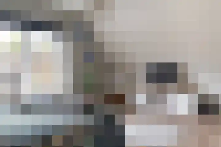 De Hoek 5 Erm thumbnail 34