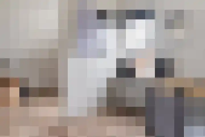 De Hoek 5 Erm thumbnail 38
