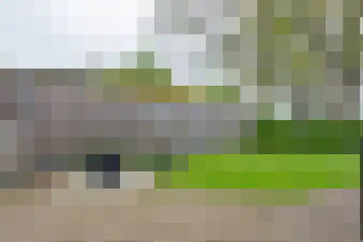 De Hoek 5 Erm thumbnail 45