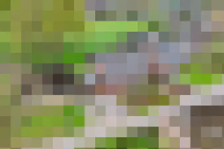 De Hoek 5 Erm thumbnail 5