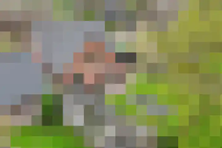De Hoek 5 Erm thumbnail 51