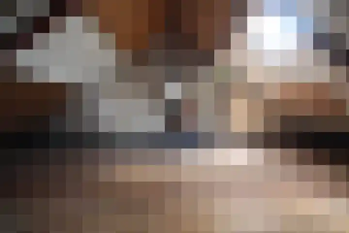 de Hoek 6 Heino thumbnail 13