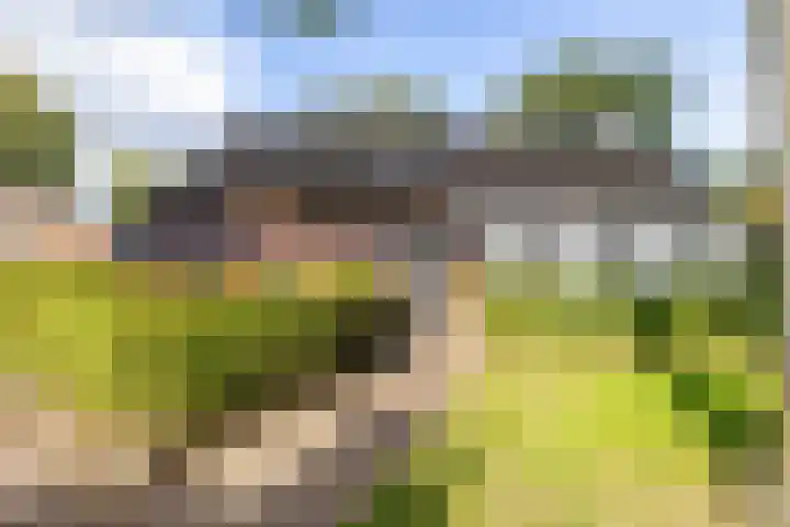 De Hoek 7 Annen thumbnail 10