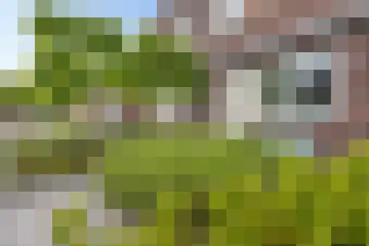 De Hoek 7 Annen thumbnail 11