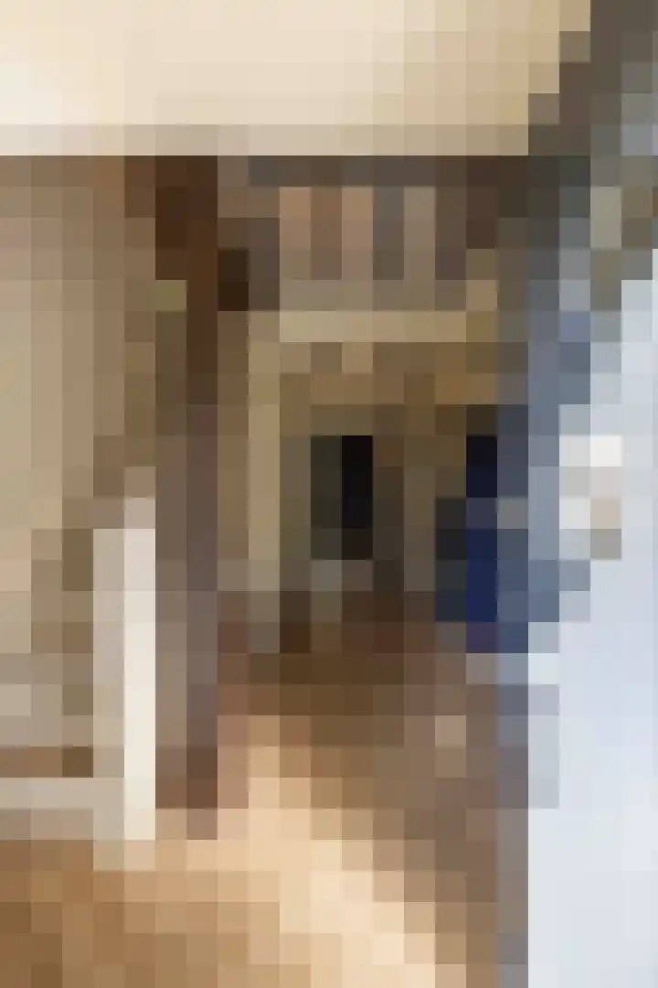 De Hoek 7 Annen thumbnail 11