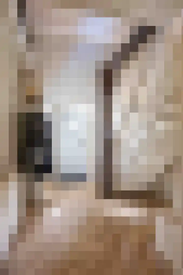 De Hoek 7 Annen thumbnail 13