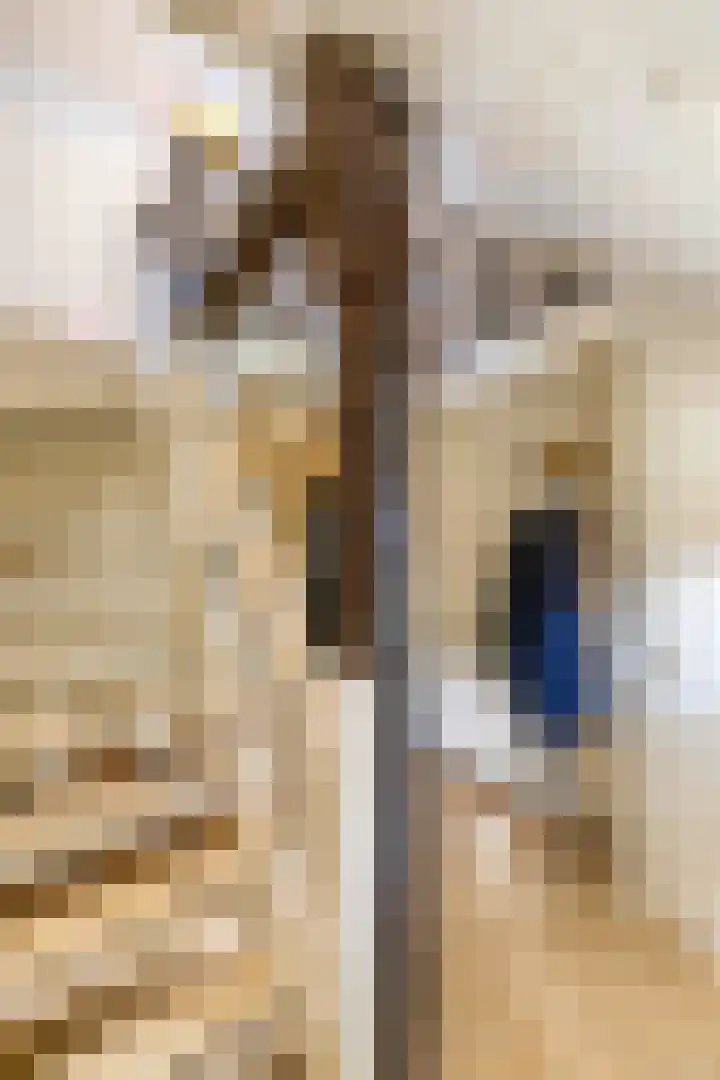 De Hoek 7 Annen thumbnail 14