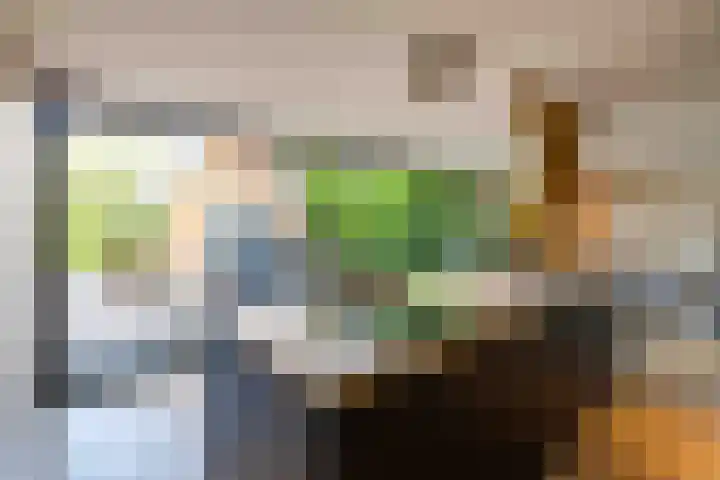 De Hoek 7 Annen thumbnail 29