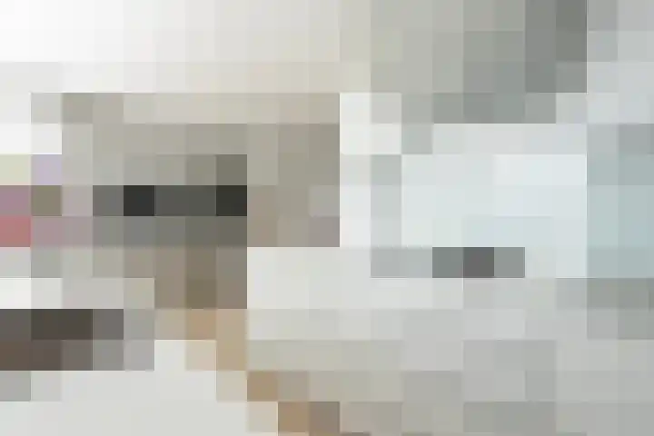 De Hoek 7 Annen thumbnail 31