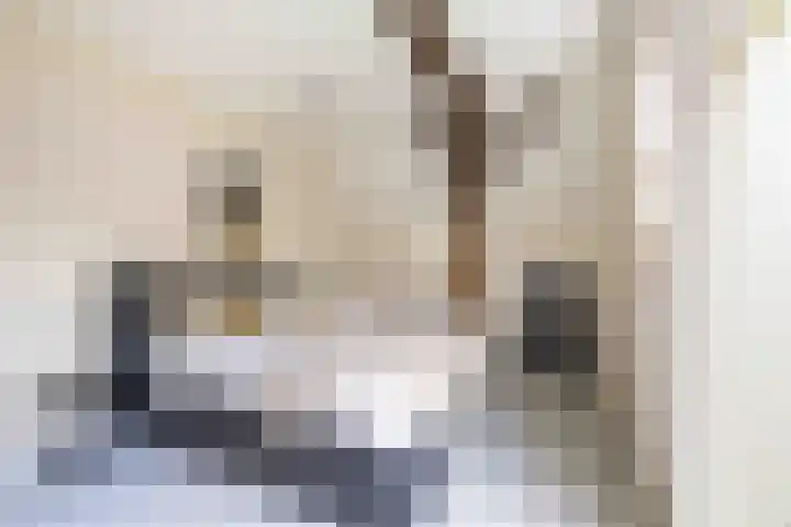 De Hoek 7 Annen thumbnail 31