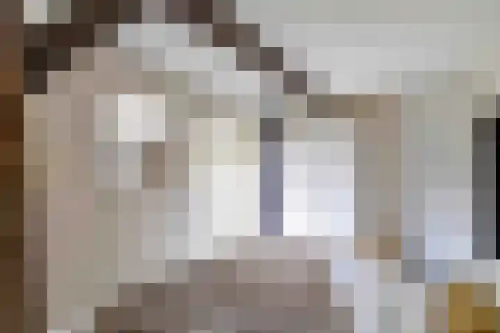 De Hoek 7 Annen thumbnail 34