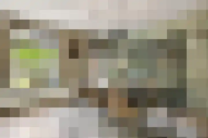 De Hoek 7 Annen thumbnail 38