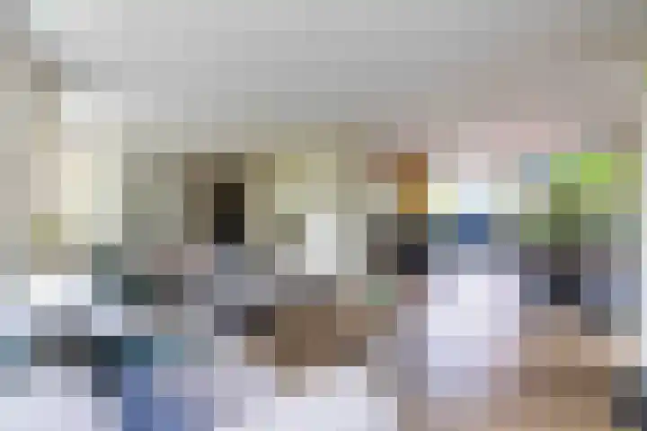 De Hoek 7 Annen thumbnail 4