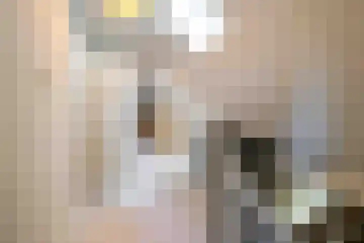 De Hoek 7 Annen thumbnail 46