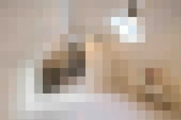 De Hoek 7 Annen thumbnail 48