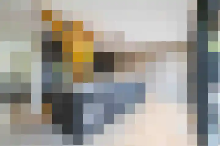 De Hoek 7 Annen thumbnail 5