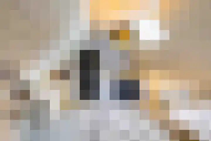 De Hoek 7 Annen thumbnail 50