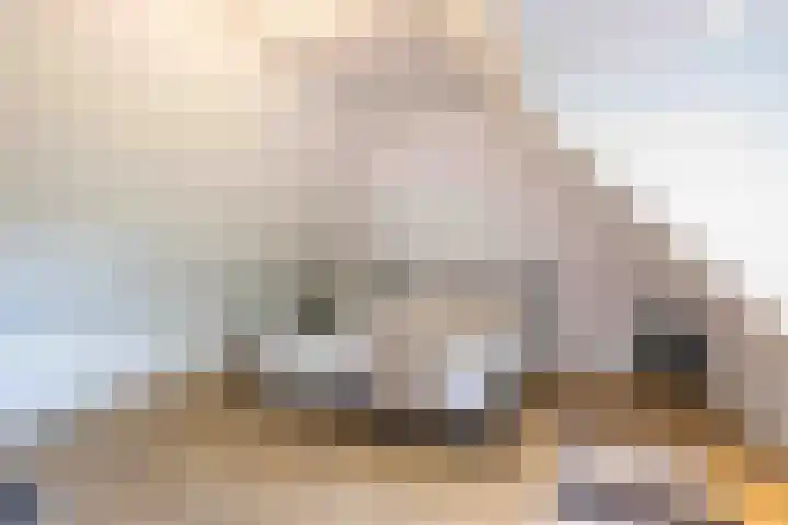 De Hoek 7 Annen thumbnail 52