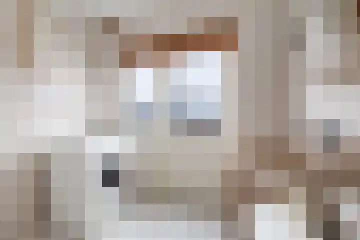 De Hoek 7 Annen thumbnail 56