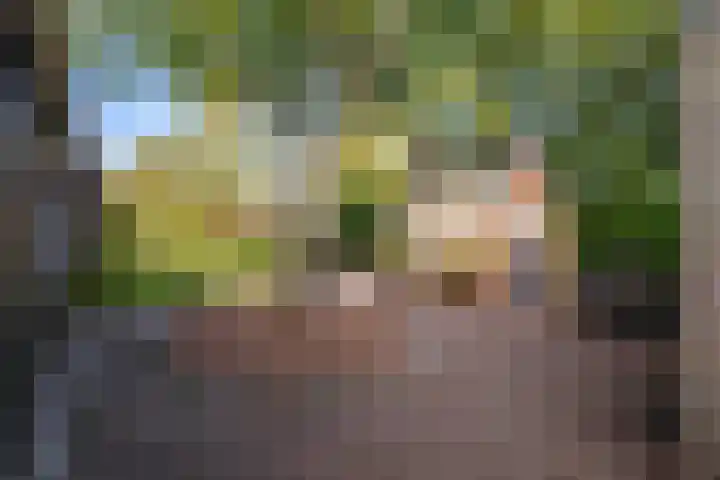 De Hoek 7 Annen thumbnail 58