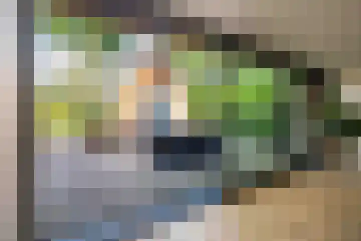 De Hoek 7 Annen thumbnail 6