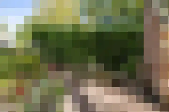 De Hoek 7 Annen thumbnail 60
