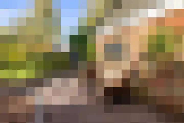 De Hoek 7 Annen thumbnail 63