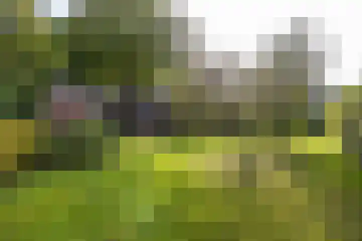 De Hoek 7 Annen thumbnail 64