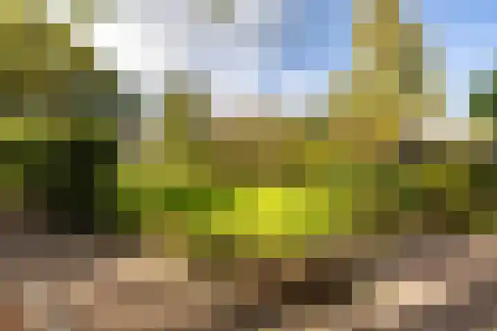 De Hoek 7 Annen thumbnail 65