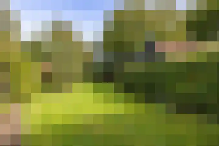De Hoek 7 Annen thumbnail 66