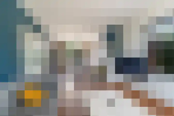 De Hoek 7 Annen thumbnail 69
