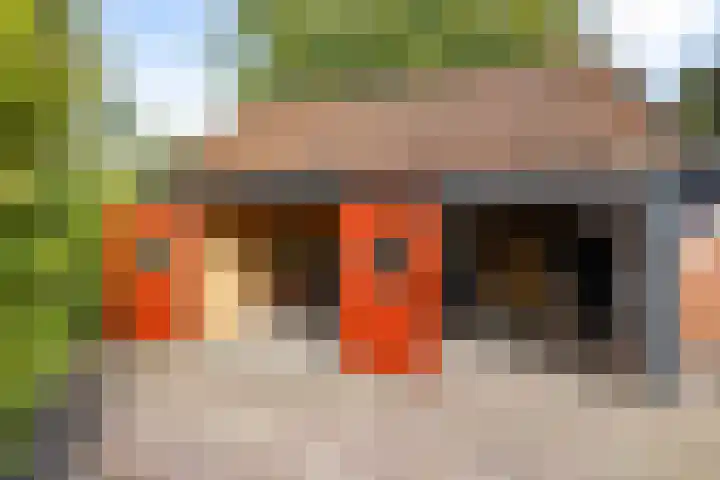 De Hoek 7 Annen thumbnail 70