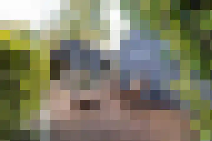 De Hoek 7 Annen thumbnail 74