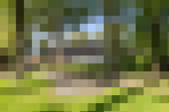 De Hoek 7 Annen thumbnail 75