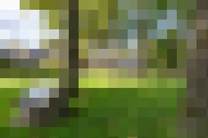 De Hoek 7 Annen thumbnail 76